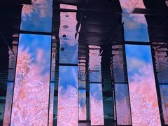 -中国湿地博物馆