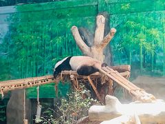 -灵玲国际马戏城