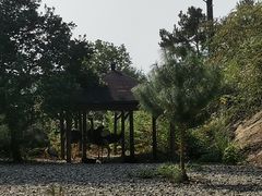 -千岛湖东南湖区