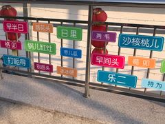 -星光城