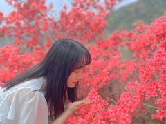 -木兰云雾山