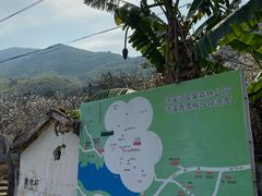 -广州市流溪河国家森林公园