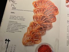 -小院坝川味-法兰克福