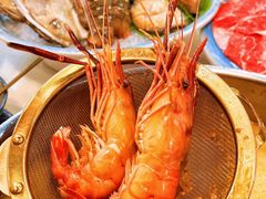 -喜聚薈·花膠雞海鮮火鍋(越秀店)