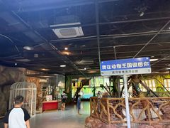 -海合安武汉极地海洋公园
