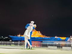 -泰达航母主题公园