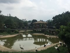 -泉州海丝野生动物世界