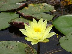 -华南国家植物园-售票处