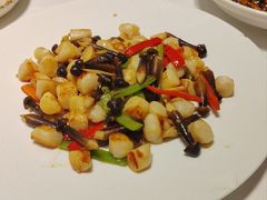 鸡枞菌鲜贝-天福苑(崇宁路店)