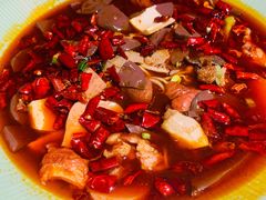 -小吊梨汤·北京菜·烤鸭(鸟巢店)