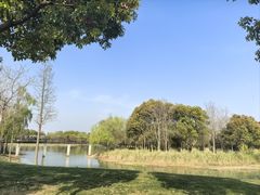 -贡湖湾湿地公园