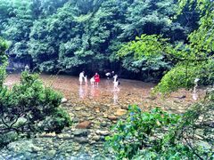 -祁门牯牛降观音堂风景区