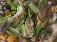 永州野生鲤鱼，每斤-永州体苑血鸭店(第一分店)