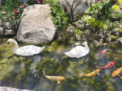 -罗红摄影艺术馆