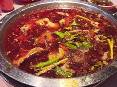 -蜀滋香鲜鱼美蛙火锅(339店)