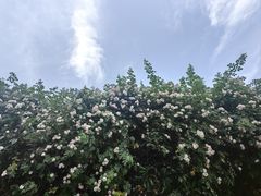 -龙潭水乡