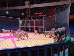 -西安秦岭野生动物园