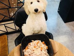 -小尾巴宠物店(万科·金域华庭店)