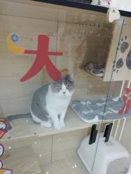 -苗医生草本科技祛痘