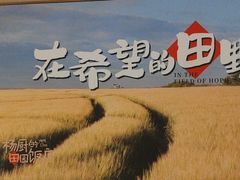 -杨厨的田园饭店(长城路店)