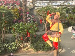 -南宫五洲植物乐园