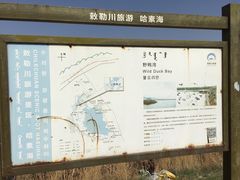 -哈素海