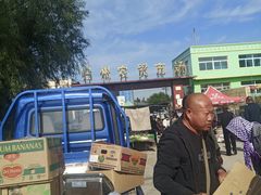 -仙人岛