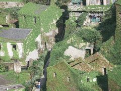 -枸杞岛