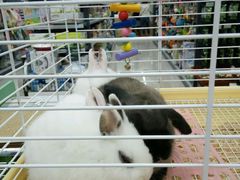 -乐宠宠物店(世纪金源店)