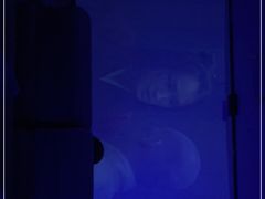 -汤W城市微度假(仓山店)