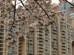 -西北湖绿化广场