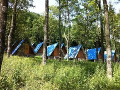 -武陵山森林公园