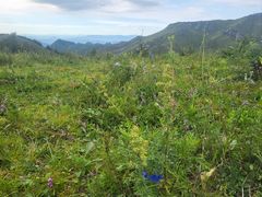 -灵山