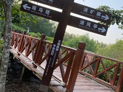 -大亚湾红树林城市湿地公园