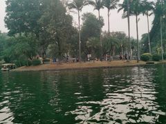 -晓港公园