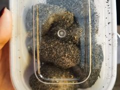 -叶氏麻糍(鼓浪屿店)