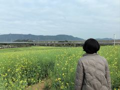 -光明小镇欢乐田园