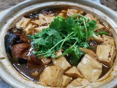鲶鱼炖豆腐-人全到南京本帮菜馆(云锦路店)