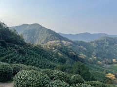 -龙井壹号·茶缘山景宴(龙井村店)