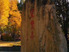 -丰台花园