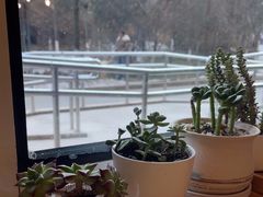 -Cafe Villa