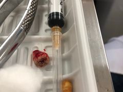 -上海市杨浦区牙病防治所