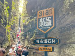 -梭布垭石林景区