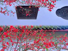 -棠湖公园