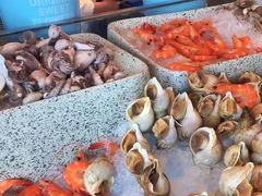 -松咖啡自助餐厅·松北香格里拉