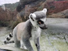 -泉州海丝野生动物世界