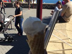 -Patagonia Chocolates(皇后镇店)