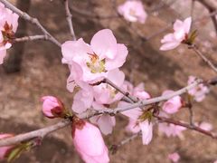 -长春市南湖公园