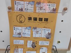 -滚猫咖啡·猫咖·猫友好撸猫(未来城店)