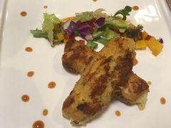 -百好乐宠物友好餐厅(朝外大街店)